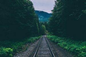 nature, Forest, Landscape, Railway