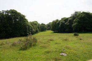 field, Landscape, Trees, Wales, Grass, Sky