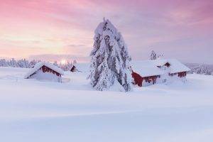 landscape, Snow, House