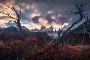 photography, Landscape, Dead Trees, Flowers, Clouds, Mountains, Rocks, Far View, Fall
