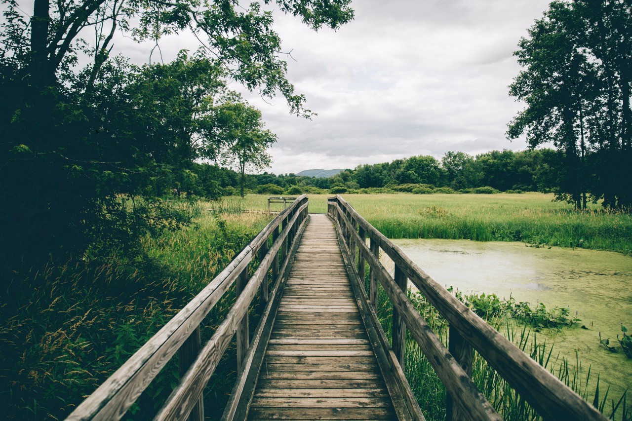 landscape, Nature Wallpaper