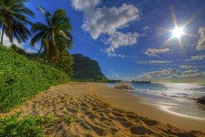 nature, Photography, Landscape, Beach, Sand, Palm Trees, Shrubs, Hills, Sea, Sunlight, Hawaii
