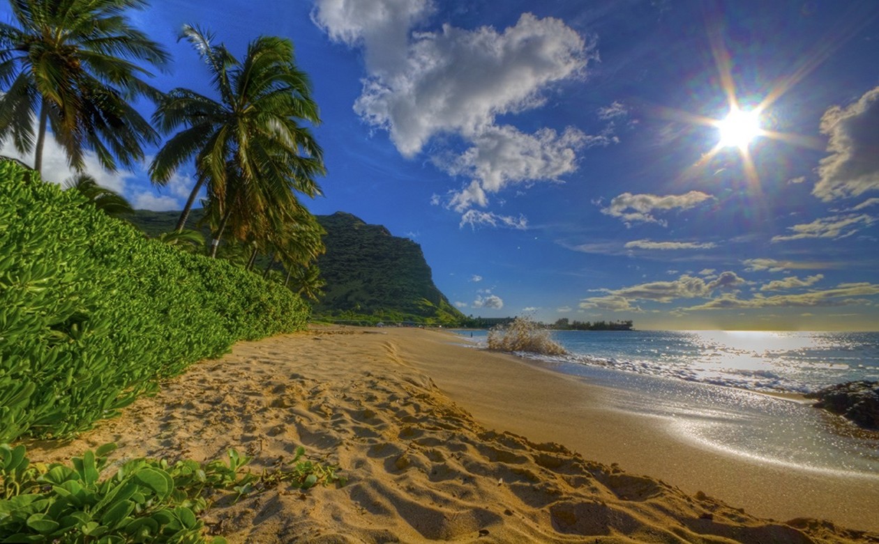nature, Photography, Landscape, Beach, Sand, Palm Trees, Shrubs, Hills, Sea, Sunlight, Hawaii Wallpaper