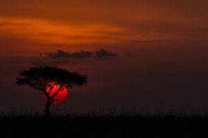 nature, Photography, Landscape, Sunset, Trees, Clouds, Red, Grass, Africa