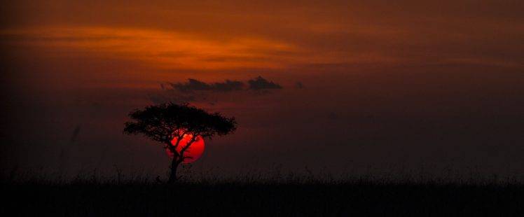 nature, Photography, Landscape, Sunset, Trees, Clouds, Red, Grass, Africa HD Wallpaper Desktop Background
