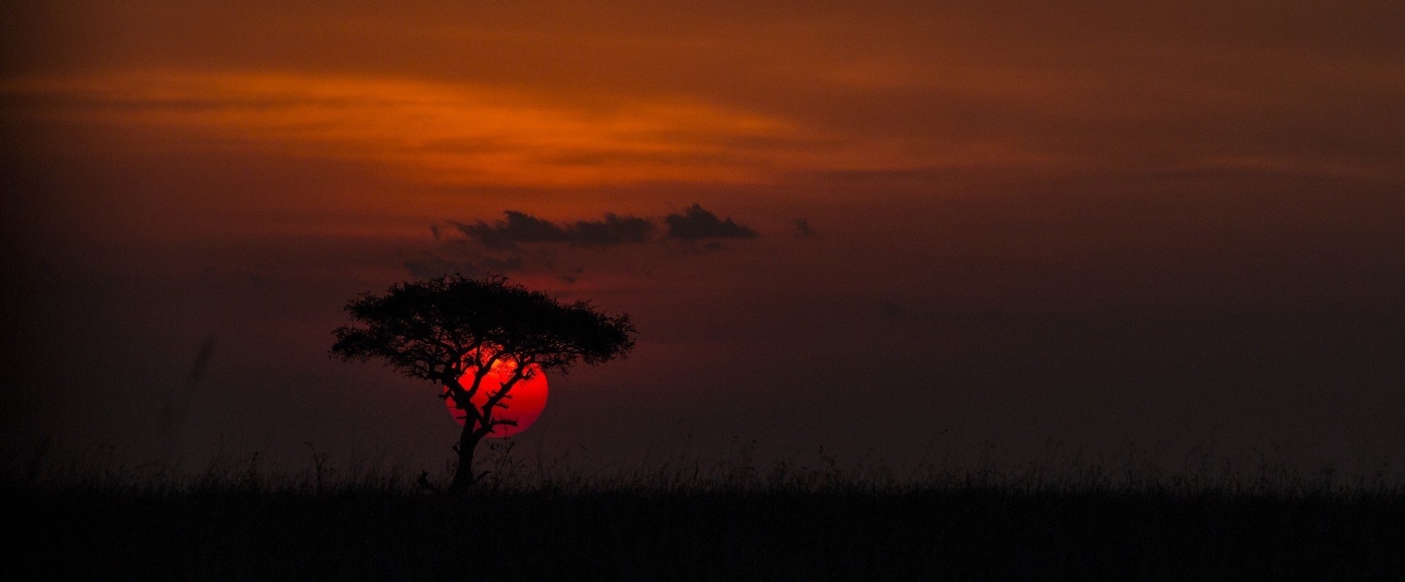nature, Photography, Landscape, Sunset, Trees, Clouds, Red, Grass, Africa Wallpaper