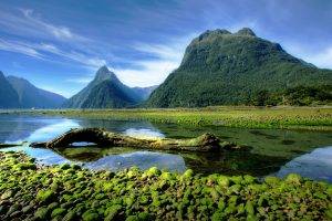 landscape, Photography, Nature, Mountains, Moss, Milford Sound, Fjord, National Park, New Zealand