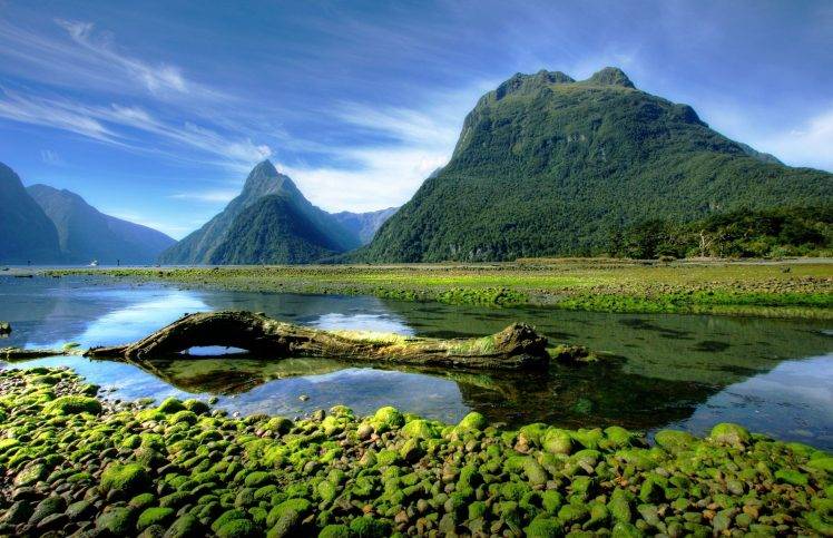 landscape, Photography, Nature, Mountains, Moss, Milford Sound, Fjord, National Park, New Zealand HD Wallpaper Desktop Background