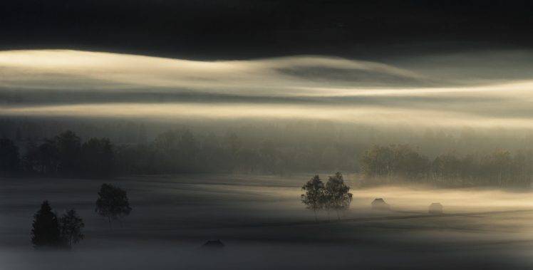 landscape, Photography, Nature, Mist, Morning, Sunlight, Forest, Field, Trees HD Wallpaper Desktop Background