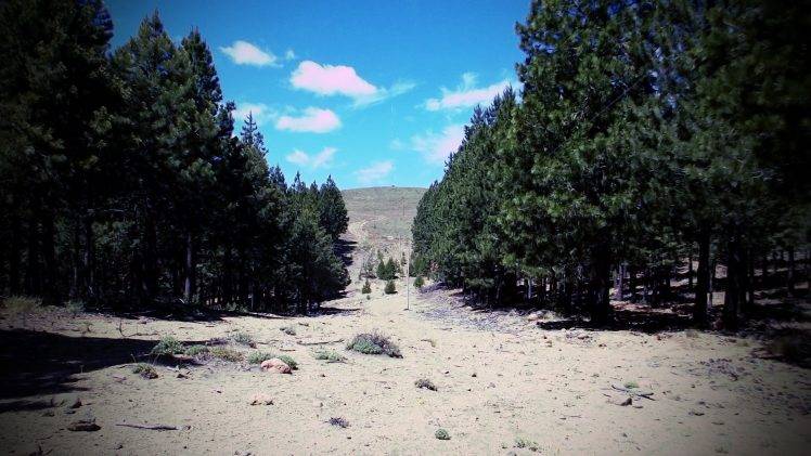 Junín De Los Andes, Forest, Landscape, Argentina, Nature HD Wallpaper Desktop Background