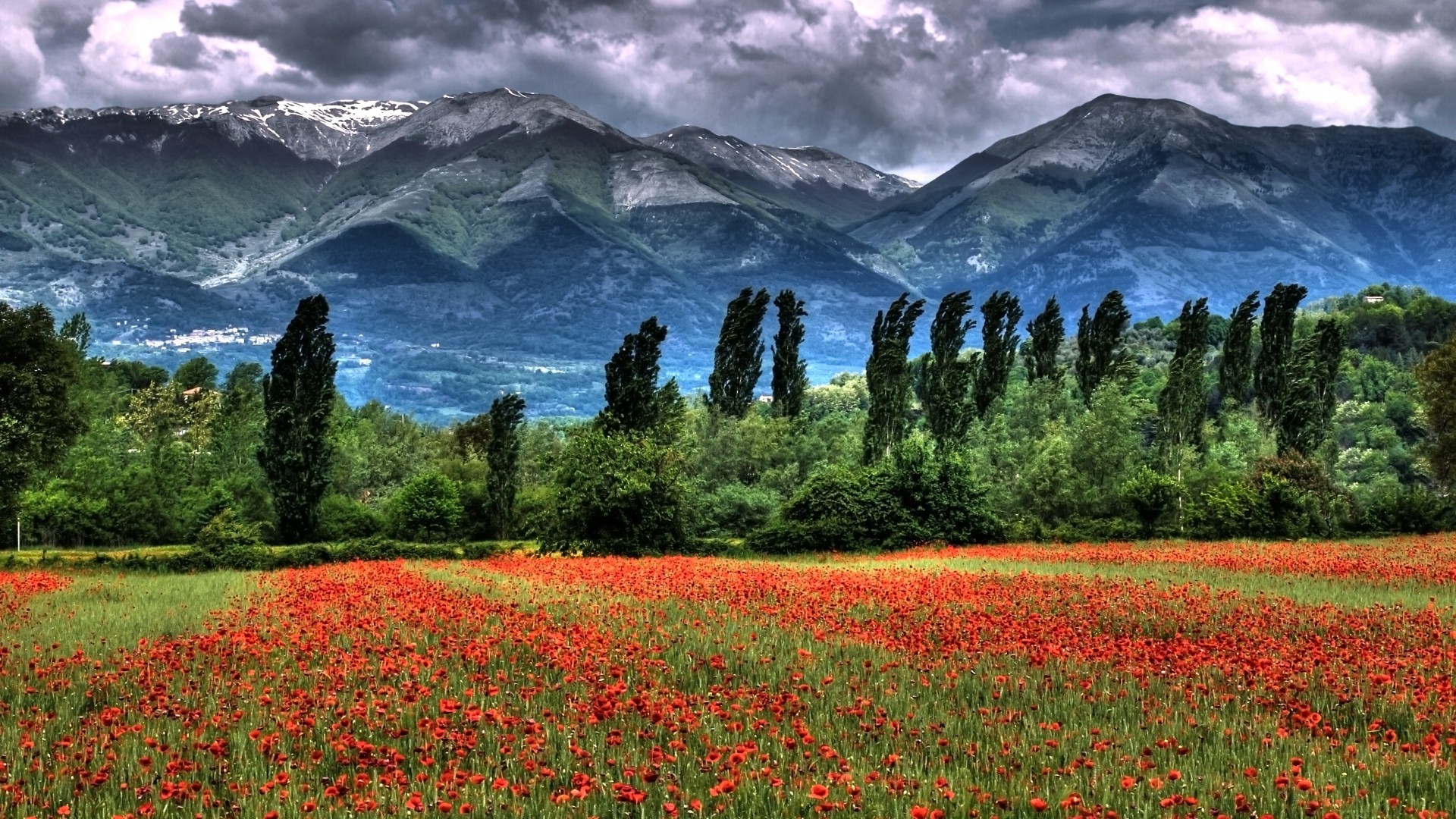 field, Mountains, Trees, Clouds, Landscape, Flowers, Grass, HDR Wallpaper
