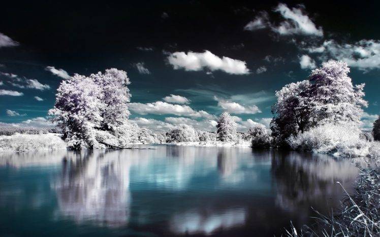 landscape, Lake, Clouds, Trees HD Wallpaper Desktop Background