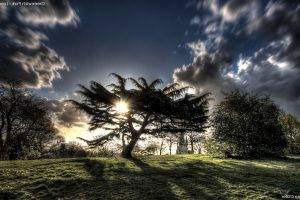 nature, Landscape, Trees, Sky, HDR, Clouds