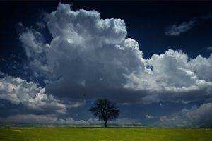 nature, Landscape, Trees, Sky, Clouds