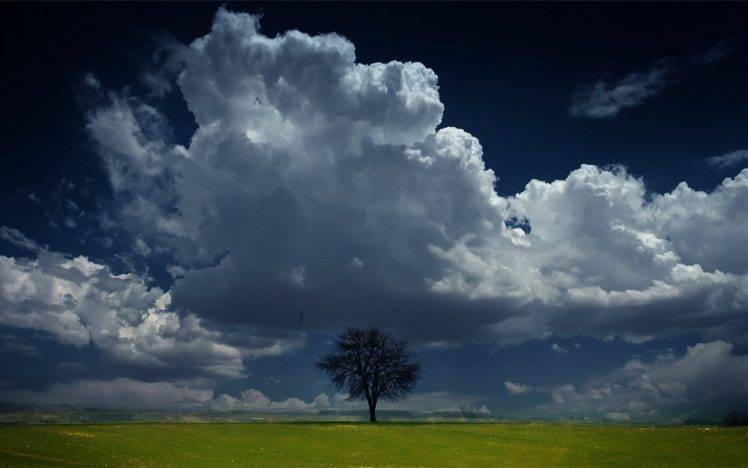 nature, Landscape, Trees, Sky, Clouds HD Wallpaper Desktop Background