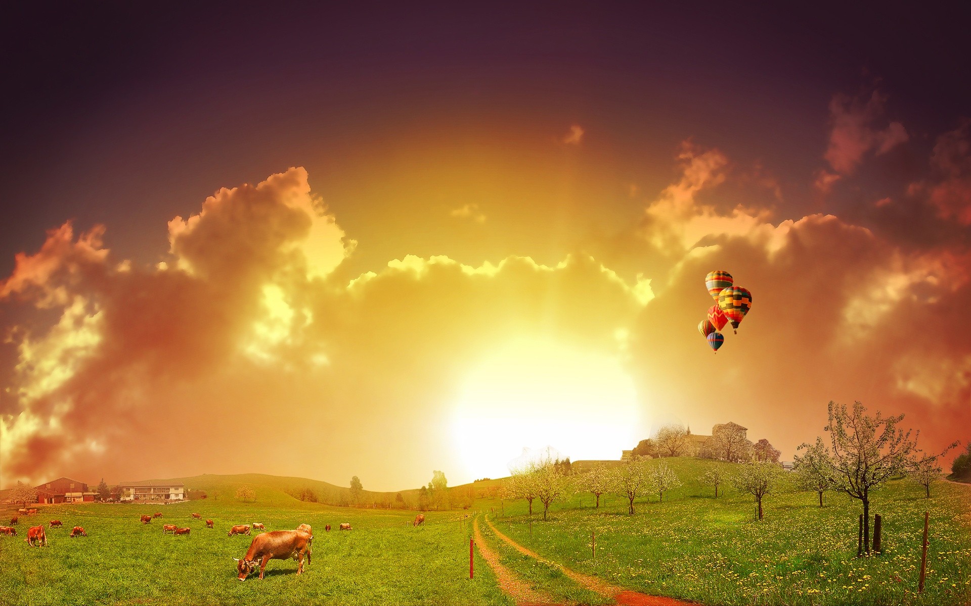 hot Air Balloons, Cows, Grass Wallpaper