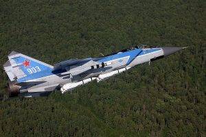 aircraft, Mikoyan MiG 31, Forest