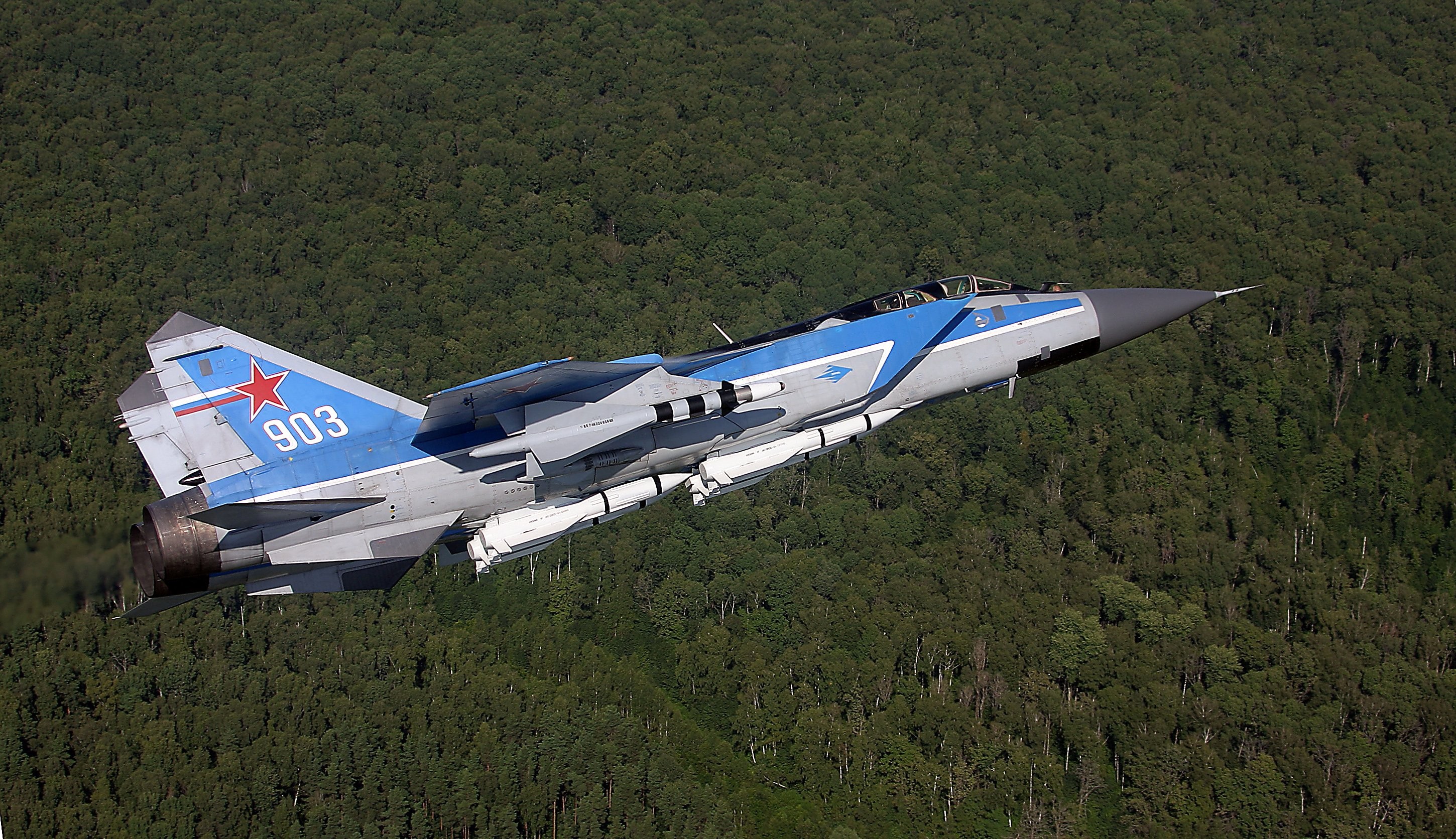 aircraft, Mikoyan MiG 31, Forest Wallpaper