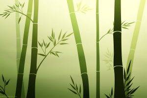 bamboo, Green, Vectors