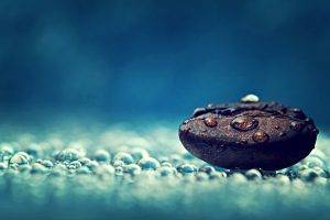 macro, Coffee Beans, Water Drops, Relaxation, Relaxing
