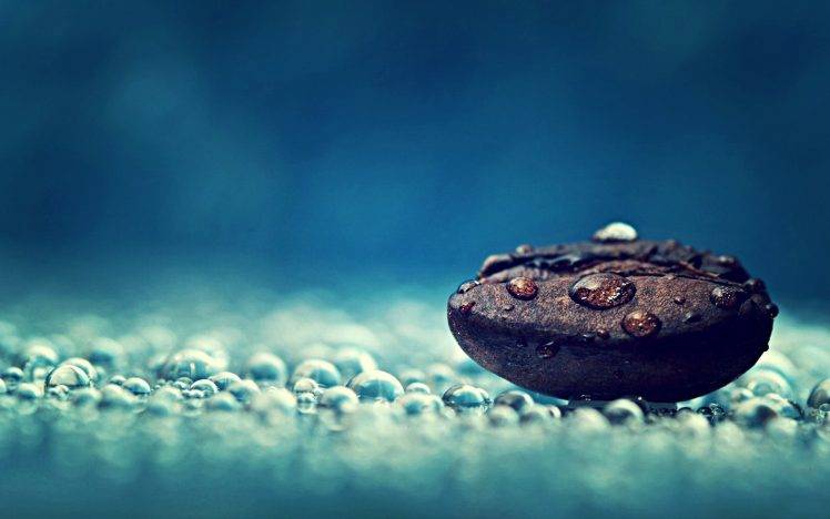 macro, Coffee Beans, Water Drops, Relaxation, Relaxing Wallpapers HD /  Desktop and Mobile Backgrounds