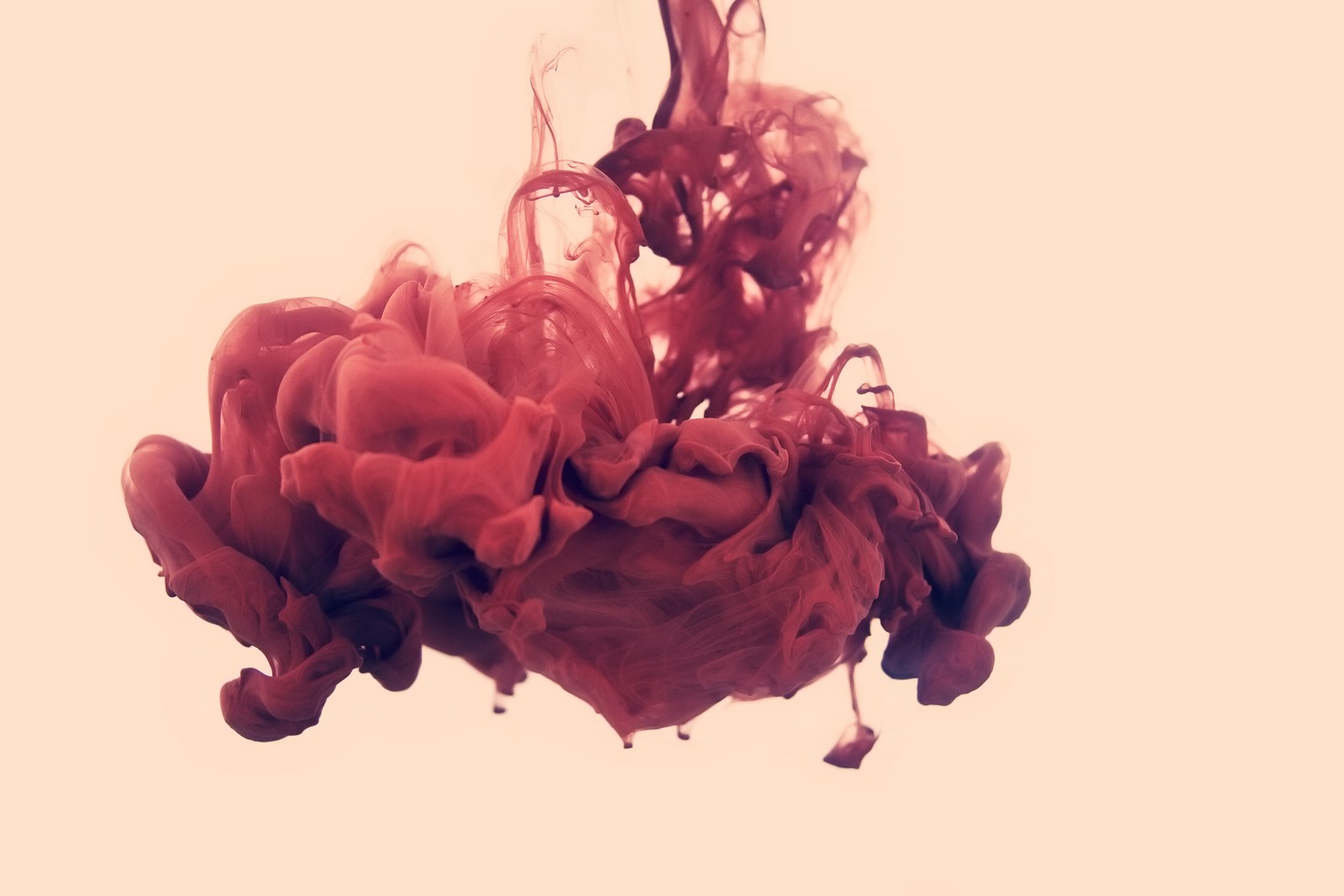 white Background, Alberto Seveso Wallpaper