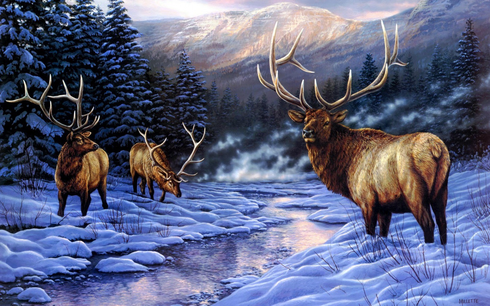 elk Wallpaper