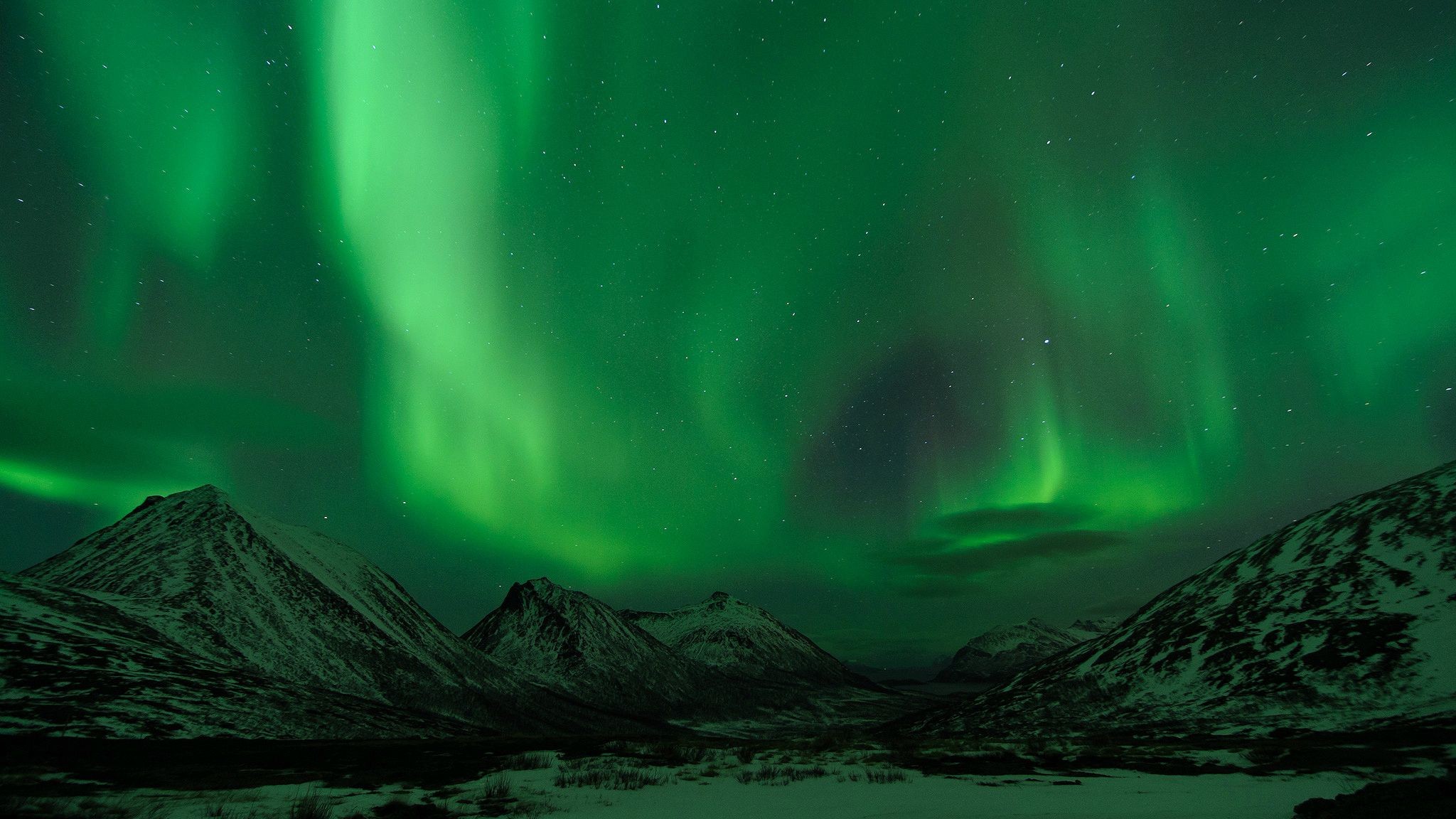aurorae Wallpaper