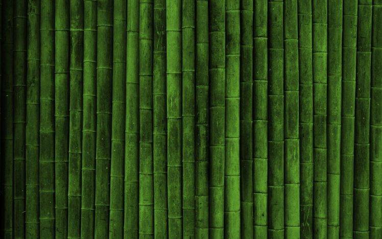 realistic, Bamboo, Green HD Wallpaper Desktop Background