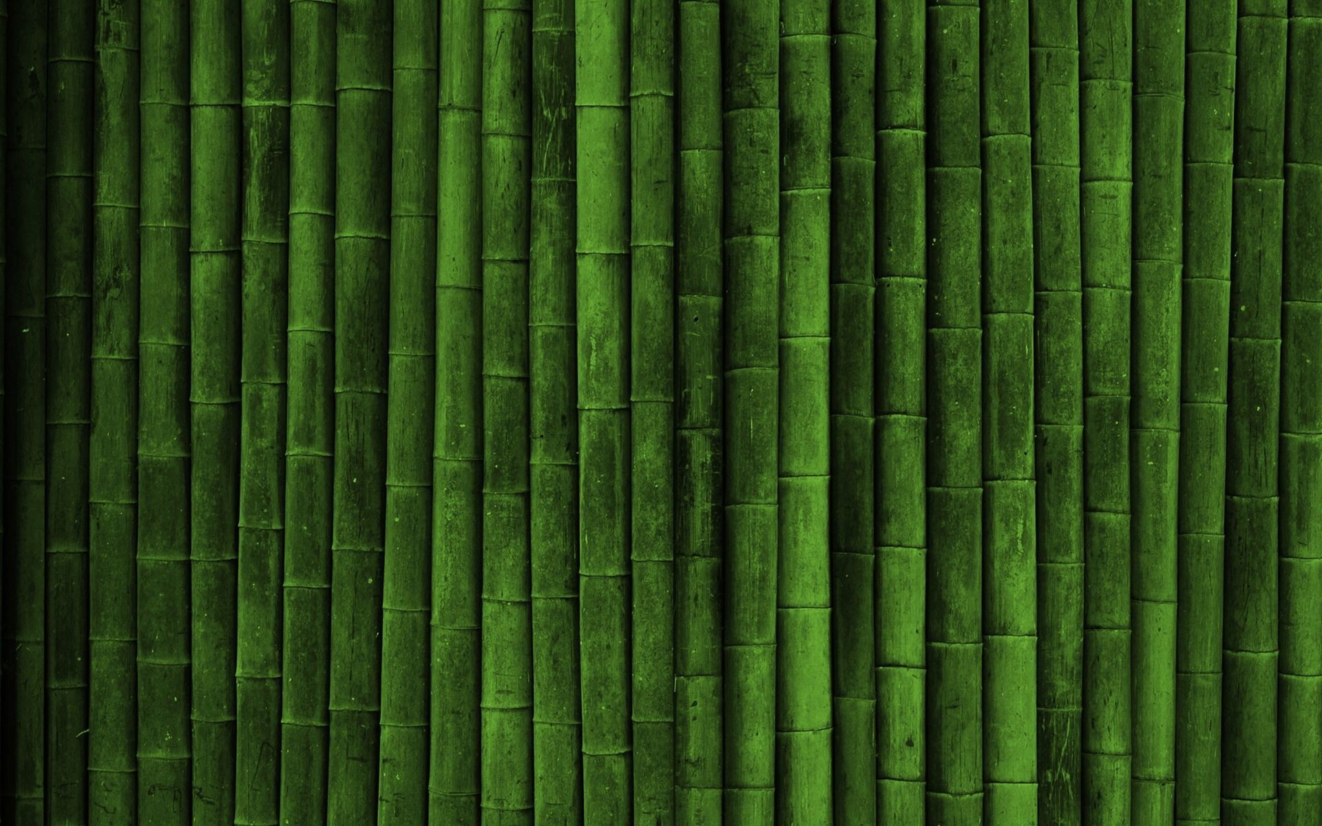 realistic, Bamboo, Green Wallpaper