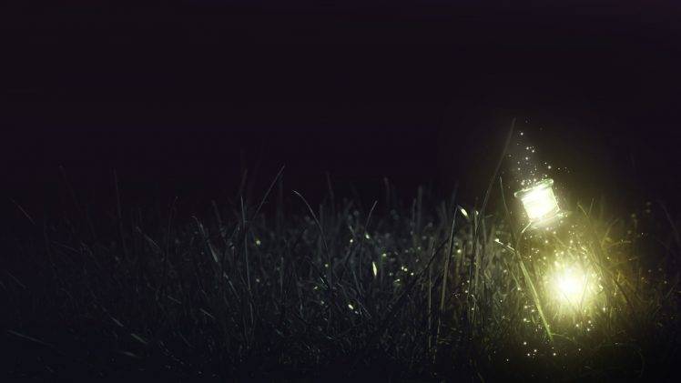 night, Grass, Lights HD Wallpaper Desktop Background