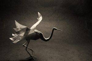 origami, Photography