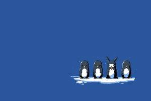 simple, Minimalism, Penguins, Rabbits, Ice, Blue