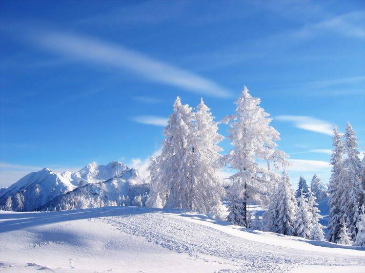 winter, White, Snow HD Wallpaper Desktop Background