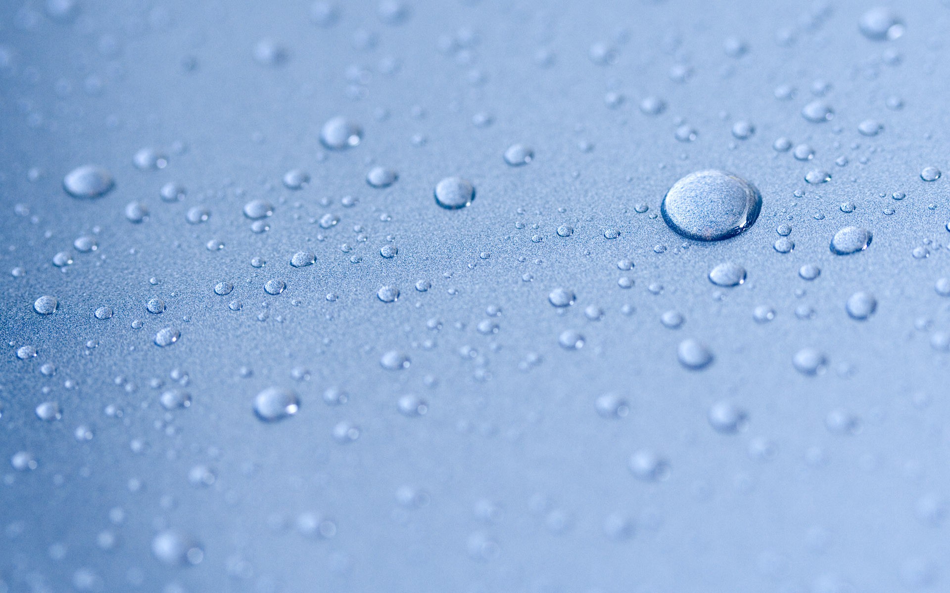 water Drops, Depth Of Field, Macro, Blue Wallpaper