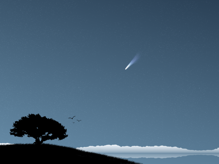 trees, Stars, Comet HD Wallpaper Desktop Background