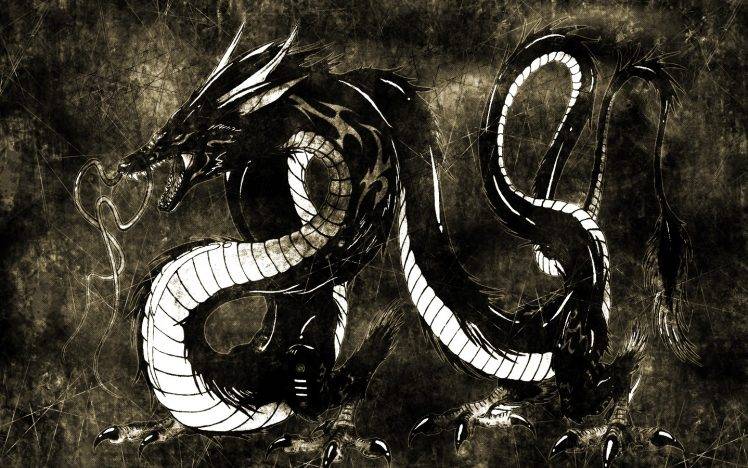 dragon, Black, White HD Wallpaper Desktop Background