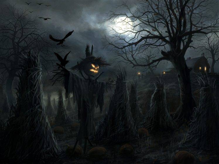 Halloween, Raven HD Wallpaper Desktop Background