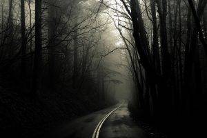 dark, Road, Mist