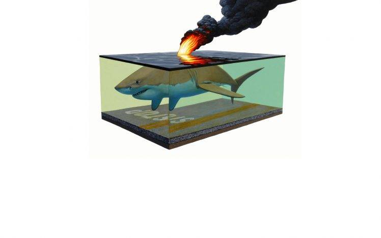shark, Fire, Surreal, Stop Sign HD Wallpaper Desktop Background