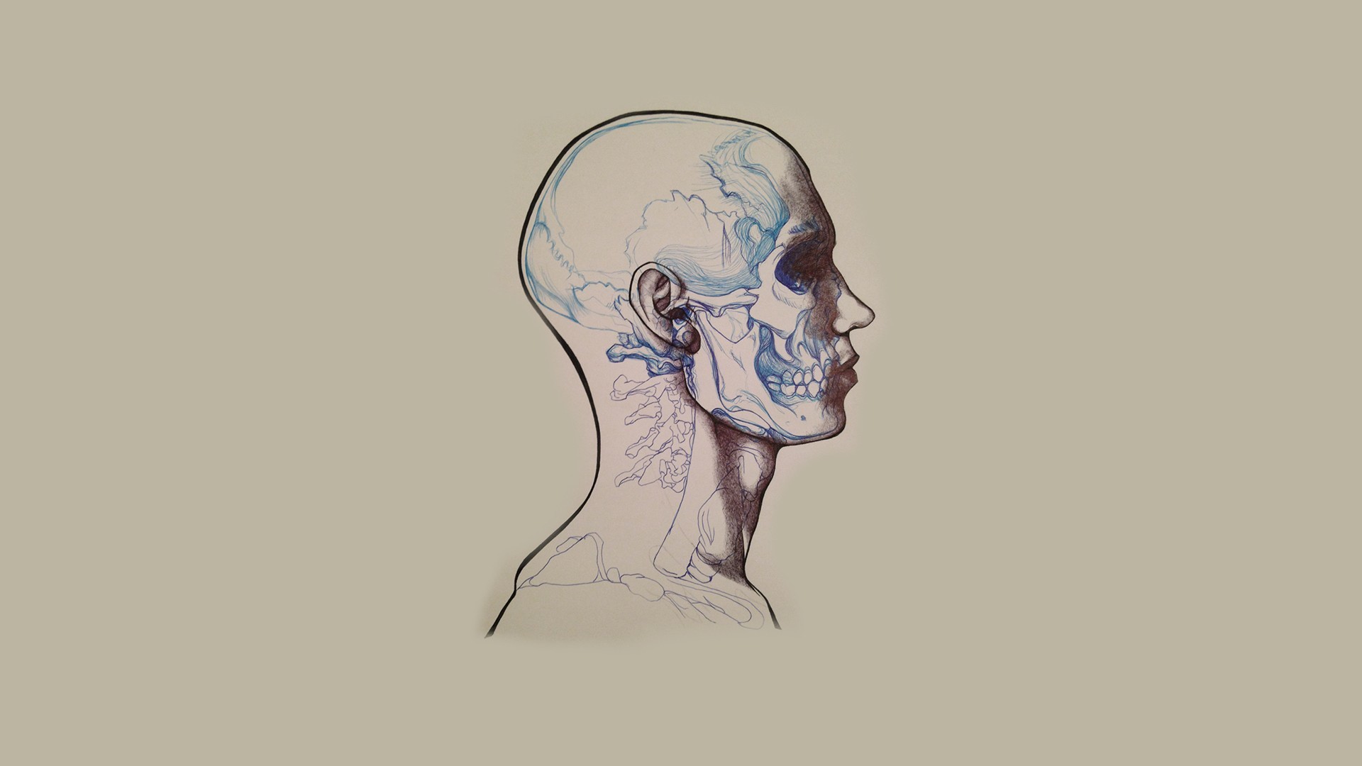 skull Wallpaper