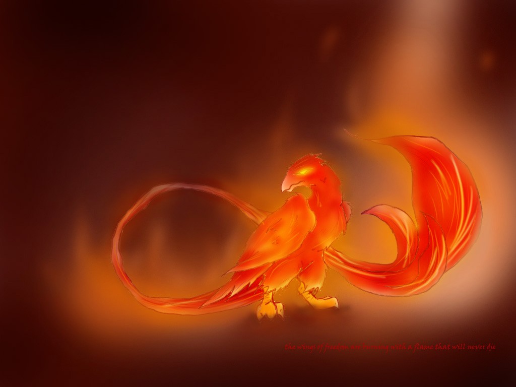 phoenix, Fire Wallpaper