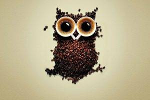 coffee, Coffee Beans, Owl