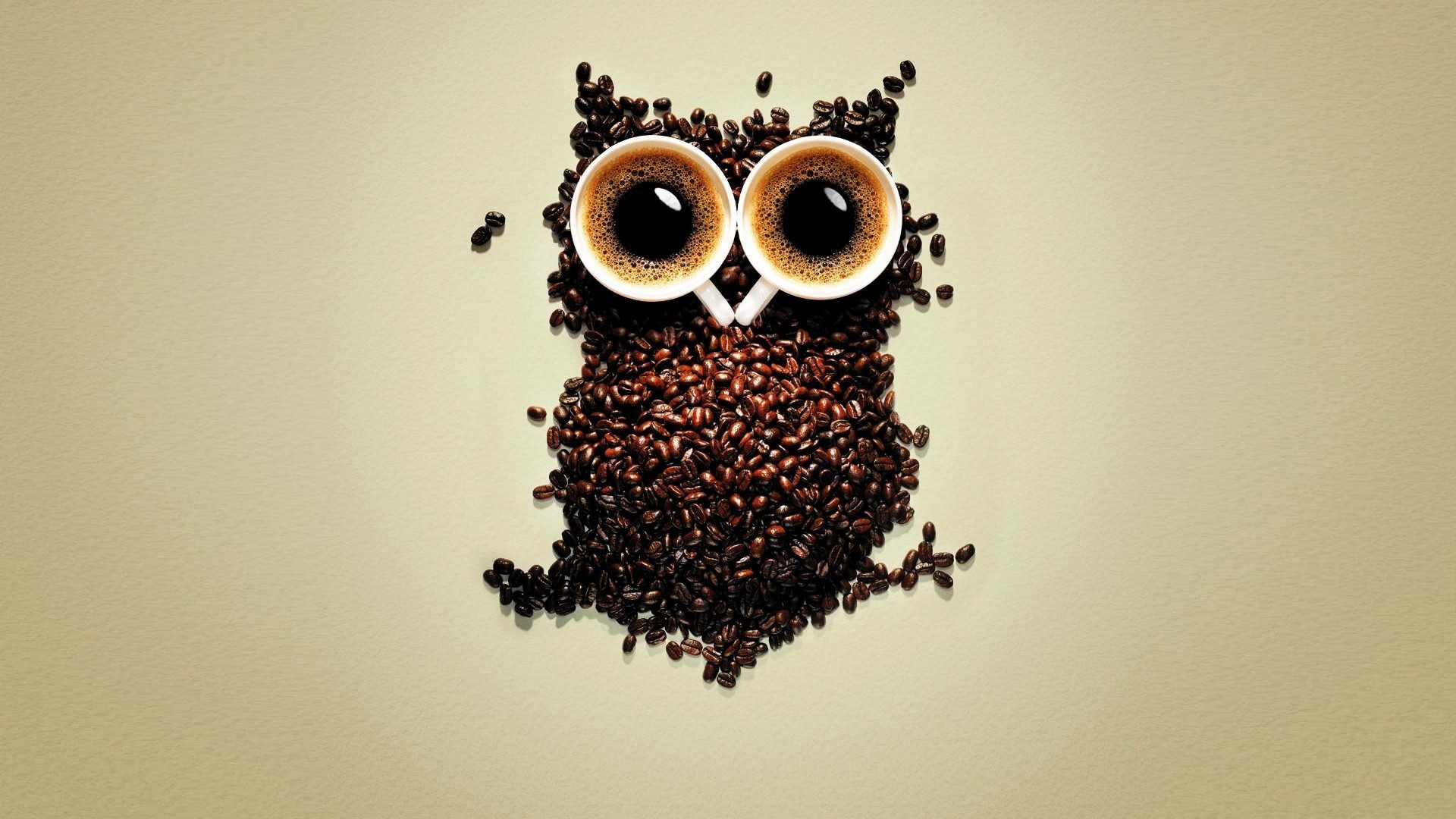 coffee, Coffee Beans, Owl Wallpaper