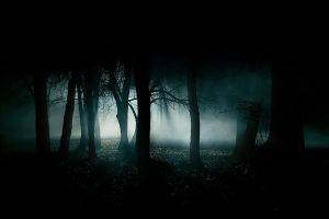 dark, Mist, Trees