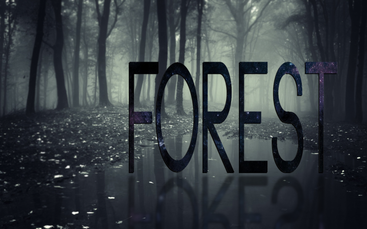forest, Mist HD Wallpaper Desktop Background