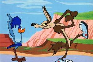 Wile E. Coyote, Road Runner