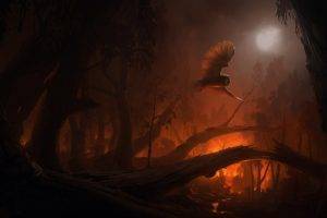 owl, Fire, Forest