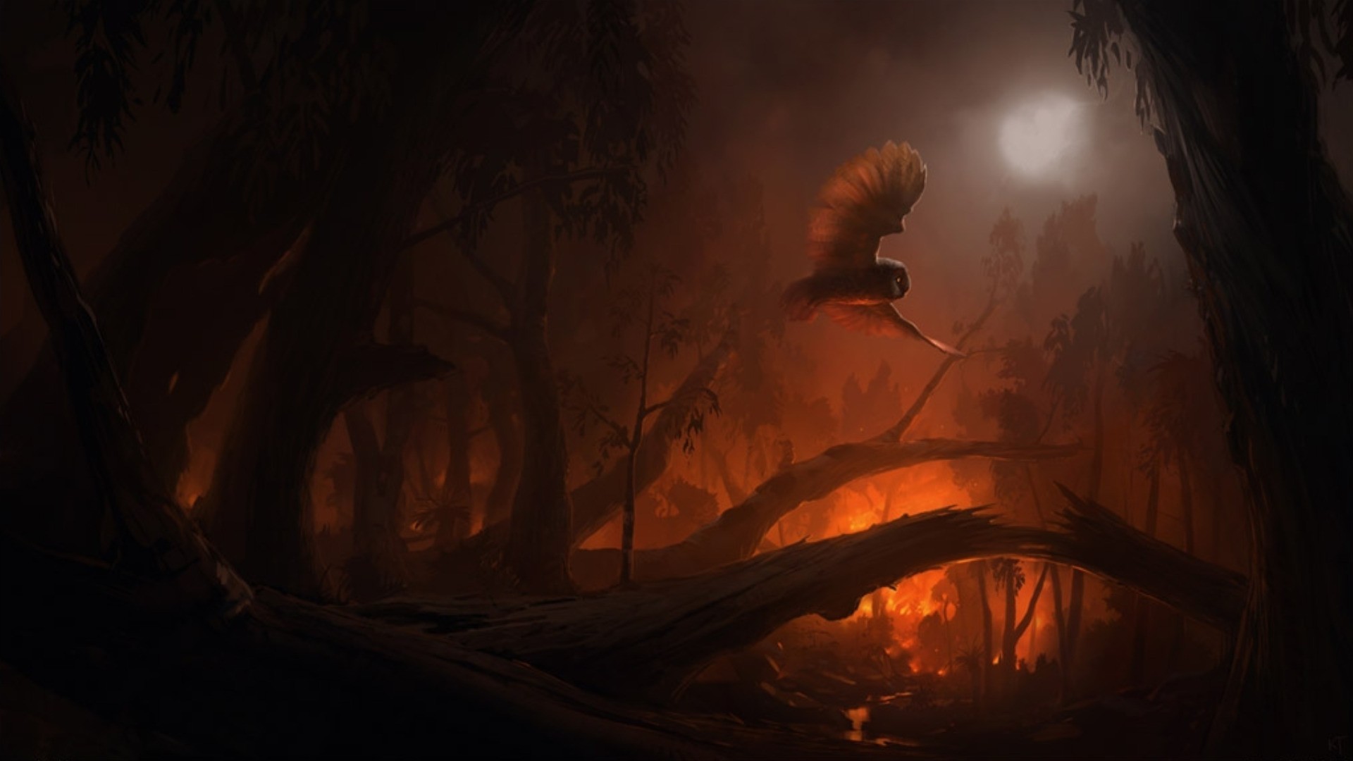 owl, Fire, Forest Wallpaper