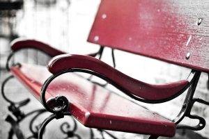 bench, Selective Coloring, Depth Of Field